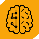 Mentoria Continuada