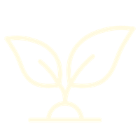 Conexão com natureza